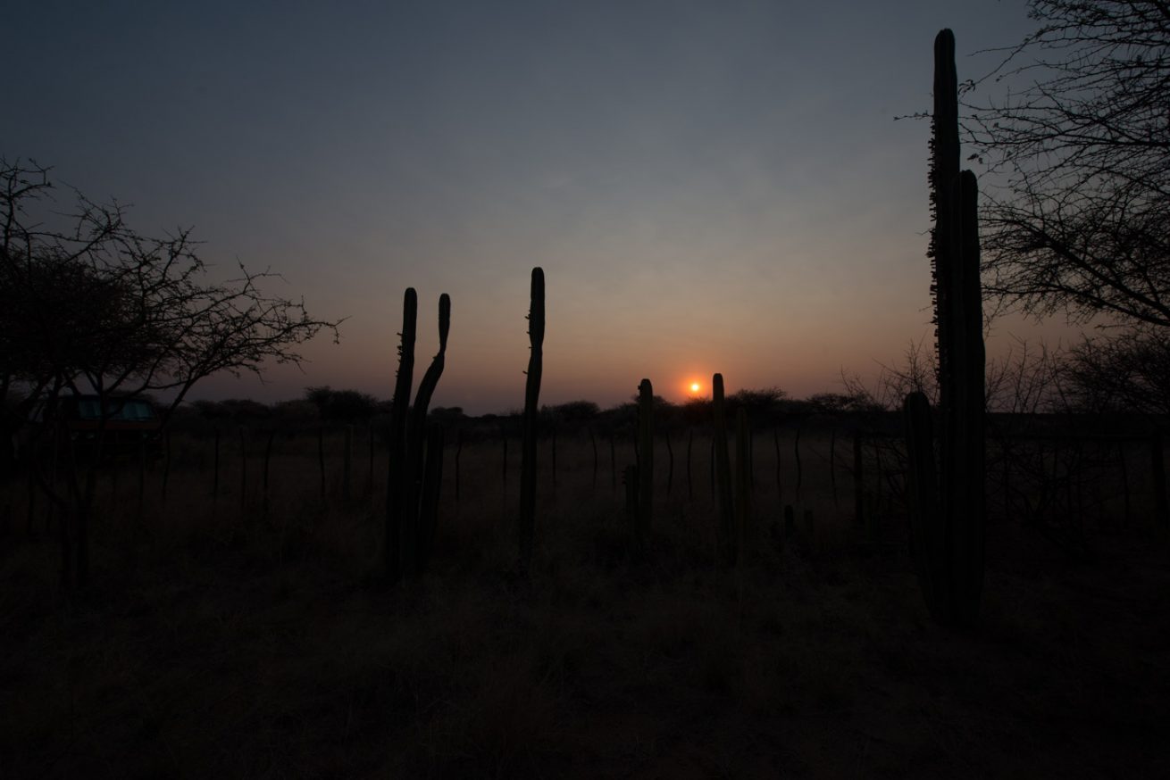 Kalahari Sunrise